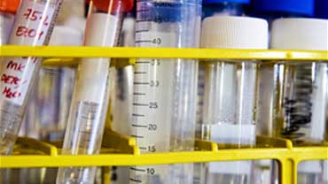 a collection of test tubes