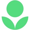 Green plant icon